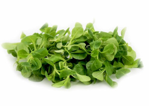 ROSZPONKA ŚWIEŻA NIEMYTA BIO (ok. 0,10 kg)
