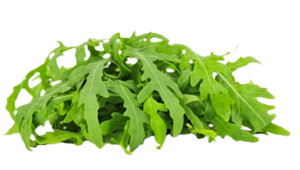 RUKOLA ŚWIEŻA NIEMYTA BIO (ok. 0,10 kg)