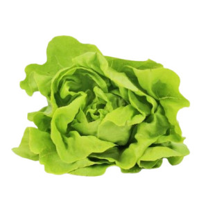 SAŁATA MASŁOWA ŚWIEŻA BIO (ok. 0,12 kg)