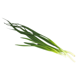 SZCZYPIOREK ŚWIEŻY BIO (ok. 40 g)