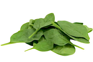 SZPINAK BABY ŚWIEŻY NIEMYTY BIO (około 0,10 kg)