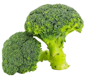 BROKUŁY BIO ŚWIEŻE (ok. 0,5 kg)