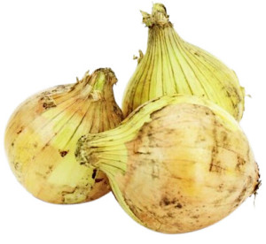 CEBULA ŻÓŁTA ŚWIEŻA BIO (ok. 1,00 kg)