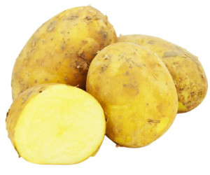 ZIEMNIAKI ŻÓŁTE ŚWIEŻE BIO (siatka ok. 2,00 kg)