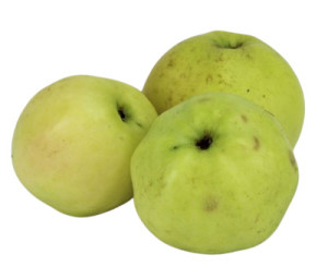 JABŁKA ANTONÓWKA BIO ŚWIEŻE (ok. 1,00 kg)