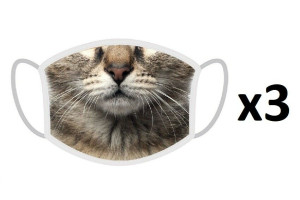 FERA 3x Schutzmaske Katze