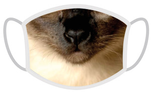 FERA Schutzmaske Siamkatze