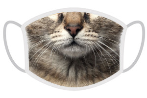 FERA Schutzmaske Katze