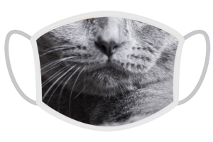 FERA Schutzmaske Britisch Kurzhaar Katze