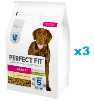 PERFECT FIT Adult 1+ 3x2,6kg: Trockenvollnahrung mit Huhn für adulte Hunde großer Rassen