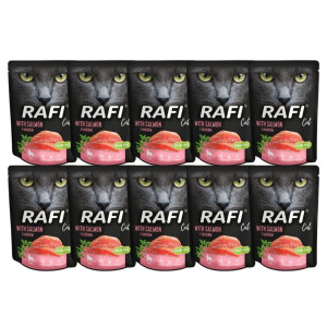 DOLINA NOTECI Rafi Cat Katzennassfutter mit Lachs 10x300 g