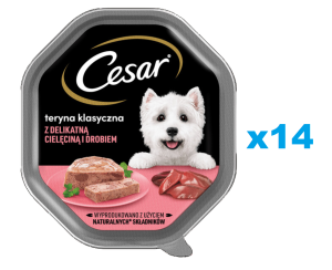 CESAR Schale 14x 150 g : Nassvollnahrung für ausgewachsene Hunde: Terrine mit zartem Kalbfleisch und Geflügel