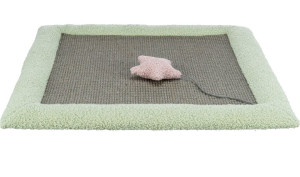 TRIXIE Junior Kratzmatte für Kätzchen 47 × 47 cm