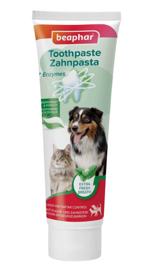 BEAPHAR Toothpaste Mint and Parsley 100 g pasta do zębów o smaku mięty i pietruszki dla psów i kotów