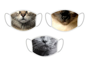 FERA Schutzmaske Katze x3