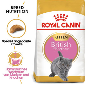 ROYAL CANIN Kitten british shorthair 2x2 kg karma sucha dla kociąt, do 12 miesiąca, rasy brytyjski krótkowłosy
