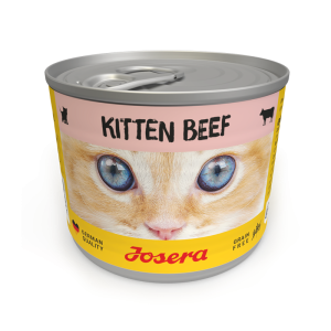 JOSERA Kitten Wołowina mokra karma dla kociąt puszka 24x200g