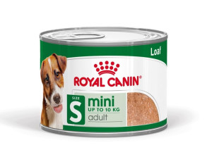 ROYAL CANIN Mini Adult 24x195 g pasztet dla psów dorosłych ras małych