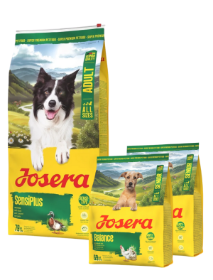 JOSERA SensiPlus 12,5kg für Hunde mit empfindlichem Verdauungssystem + 2x900g GRATIS