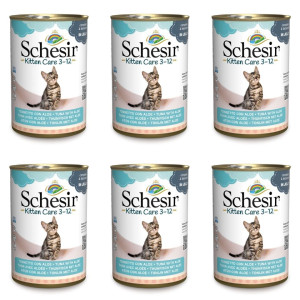 SCHESIR Nassfutter mit Thunfisch und Aloe für Kätzchen 6x140 g