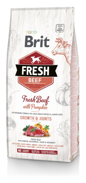 BRIT Fresh beef with pumpkin puppy large 2,5 kg