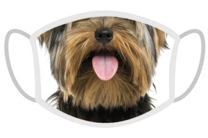 FERA Schutzmaske Yorkshire Terrier