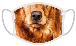 FERA Schutzmaske Golden Retriever