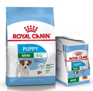 ROYAL CANIN MINI Puppy Welpenfutter trocken für kleine Hunde 8 kg + Mini Puppy 12x85 g