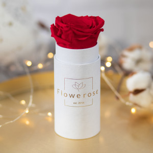 Czerwona wieczna róża biały flowerbox CLASSIC MINI