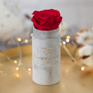 Czerwona wieczna róża szary flowerbox VELVET MINI