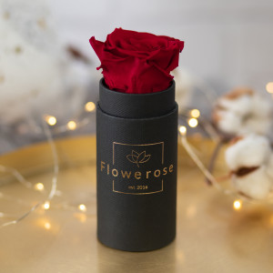 Ciemnoczerwona wieczna róża czarny flowerbox CLASSIC MINI