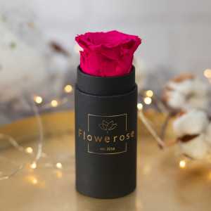 Ciemnoróżowa wieczna róża czarny flowerbox CLASSIC MINI