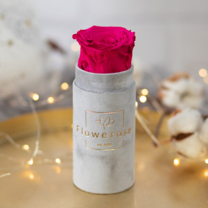 Ciemnoróżowa wieczna róża szary flowerbox VELVET MINI