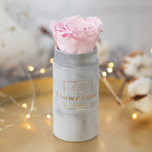 Jasnoróżowa wieczna róża szary flowerbox VELVET MINI