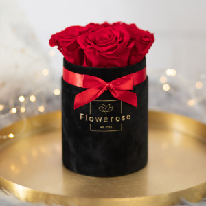 Czerwone wieczne róże czarny flowerbox VELVET S