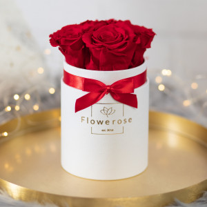 Czerwone wieczne róże biały flowerbox CLASSIC S