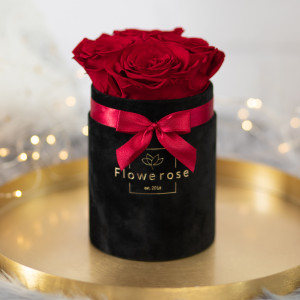 Ciemnoczerwone wieczne róże czarny flowerbox VELVET S
