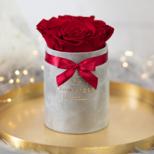 Ciemnoczerwone wieczne róże szary flowerbox VELVET S