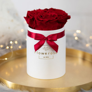 Ciemnoczerwone wieczne róże biały flowerbox CLASSIC S