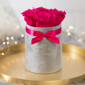 Ciemnoróżowe wieczne róże szary flowerbox VELVET S