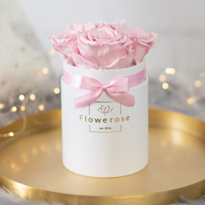 Różowe wieczne róże biały flowerbox CLASSIC S