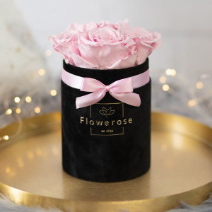 Różowe wieczne róże czarny flowerbox VELVET S