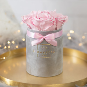 Różowe wieczne róże szary flowerbox VELVET S