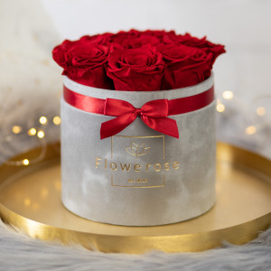 Ciemnoczerwone wieczne róże szary flowerbox VELVET M
