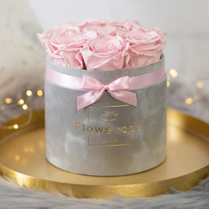 Różowe wieczne róże szary flowerbox VELVET M