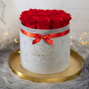Czerwone wieczne róże szary flowerbox VELVET L