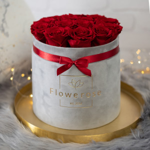 Ciemnoczerwone wieczne róże szary flowerbox VELVET L