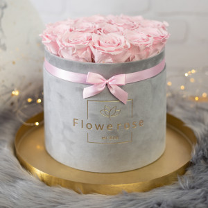 Różowe wieczne róże szary flowerbox VELVET L