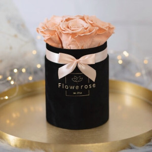 Brzoskwiniowe wieczne róże czarny flowerbox VELVET S