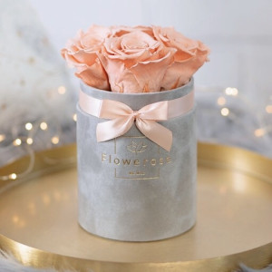 Brzoskwiniowe wieczne róże szary flowerbox VELVET S